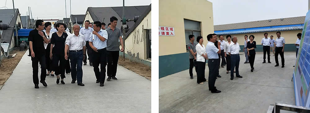 新聞=省委胥秘書長(zhǎng)與省農(nóng)業(yè)農(nóng)村廳楊廳長(zhǎng)一行及市、縣等領(lǐng)導(dǎo)，來我司視察02.jpg