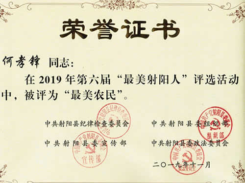 最美射陽人榮譽(yù)證書