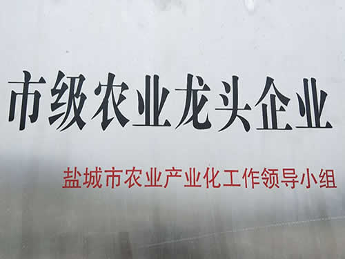 市級農業(yè)龍頭企業(yè)